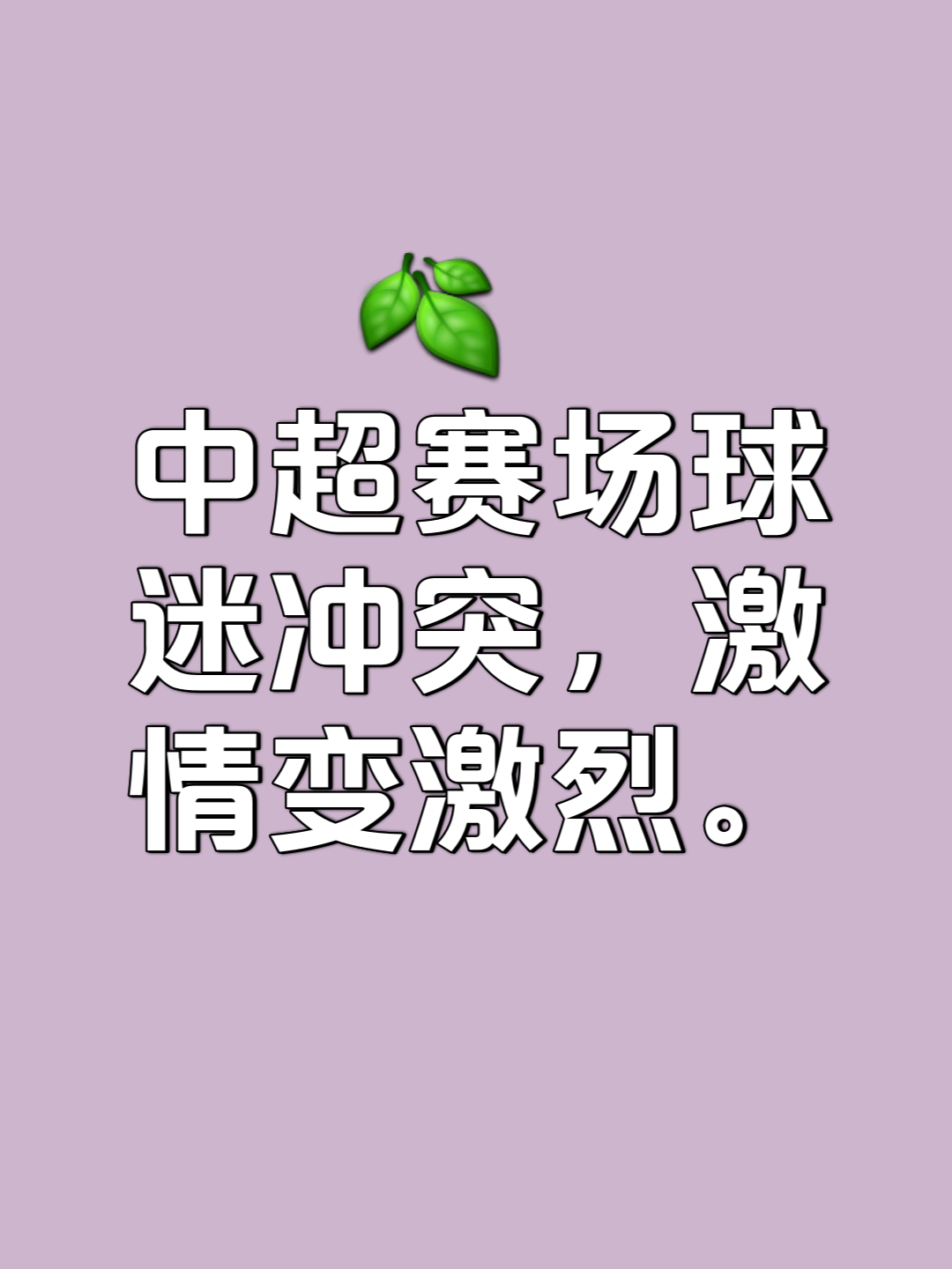 比赛助威声震动全场，球迷狂欢不止的简单介绍